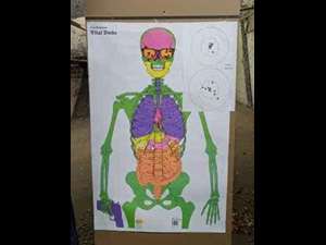 Skeleton Target