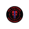 CG TACTICAL SOLUTIONS LLC logo