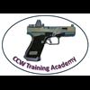 CCW Instructor, LLC DBA CCW Training Academy logo