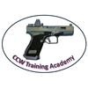 CCW Instructor, LLC DBA CCW Training Academy logo