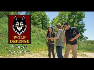 Wolf Defense Header