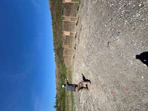 Covert Carry for PSD 6/8/24