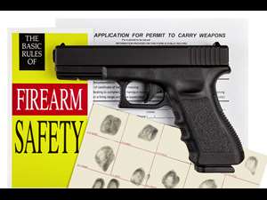 Self-Defense Warrior Basic Pistol & CWP Class
