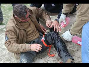 Tourniquet application for gunshot wound to thigh