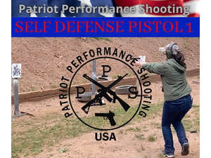 Self Defense Pistol 1