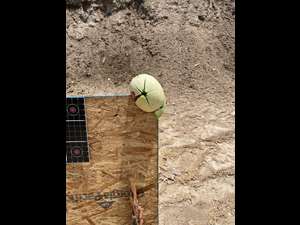 NRA Women on Target