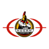 Randori Defensive Solutions logo