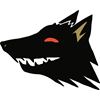 NAF Defense LLC logo