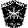 Dragon Tactical International logo