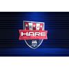 Hare Consulting & Training, LLC logo