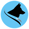 Dakota Firearms Training Academy logo